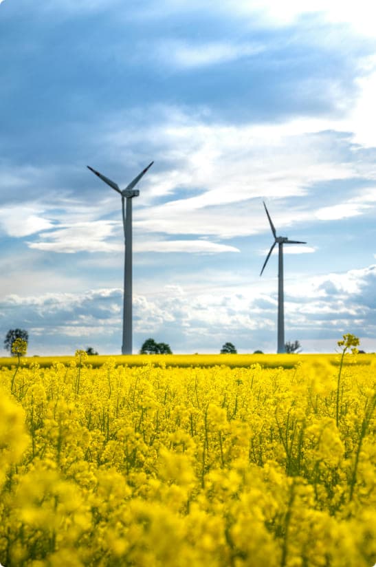 Wind turbines - Renewable energy source